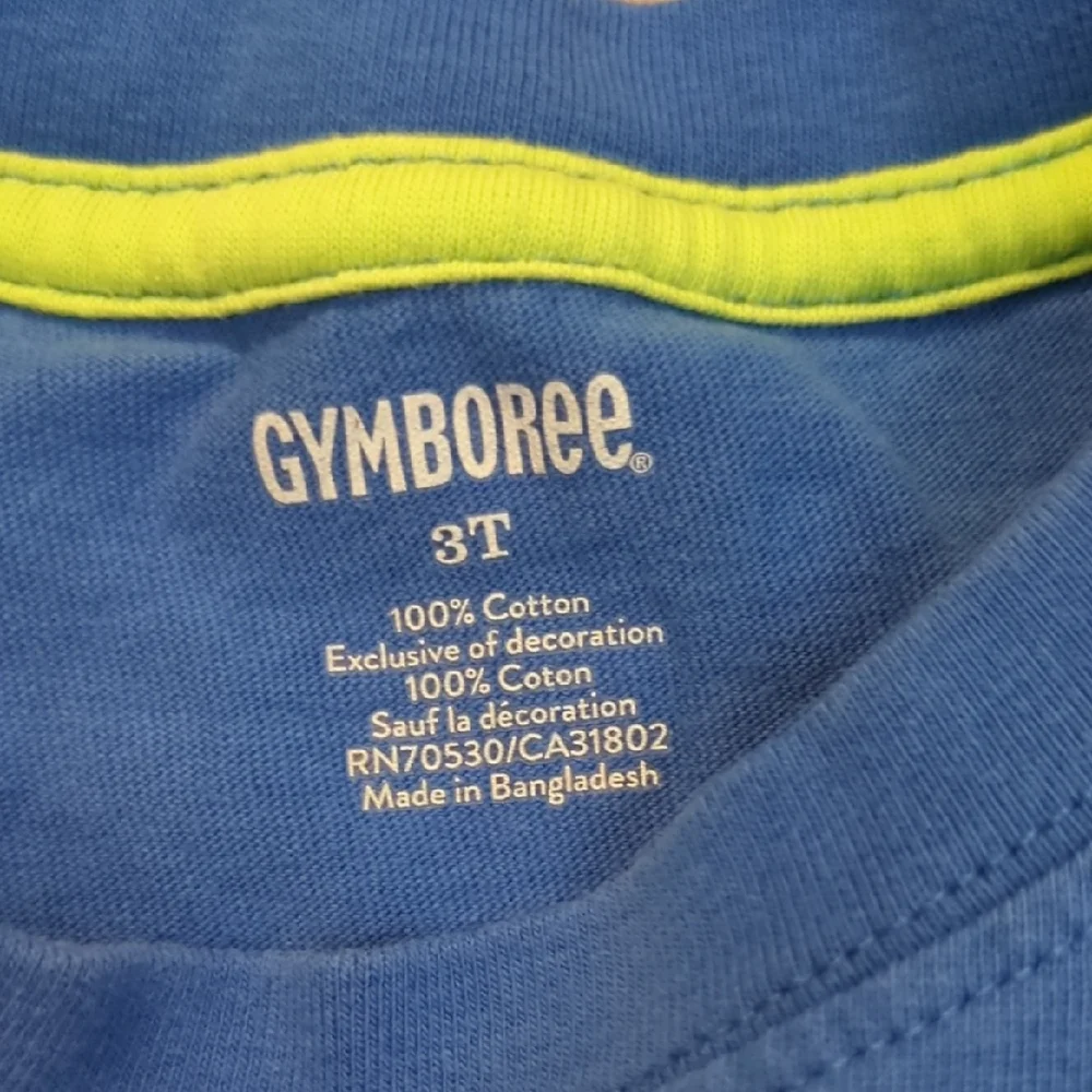 Gymboree Blue Tee with Lime Green Accent
